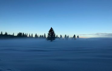 Nature in Durmitor